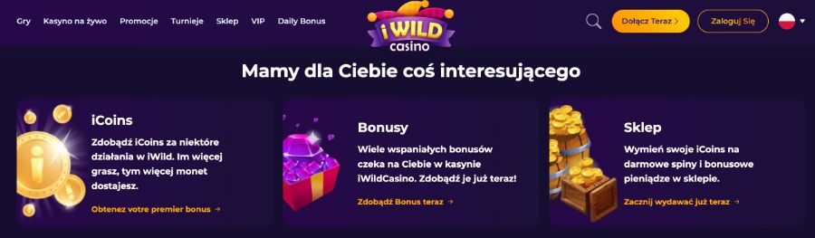 iWildCasino - atuty